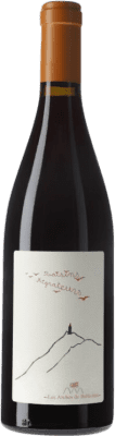 15,95 € Kostenloser Versand | Rotwein Bellivière Raisins Migrateurs Loire Frankreich Grenache Flasche 75 cl