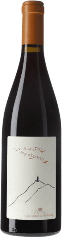 16,95 € 送料無料 | 赤ワイン Domaine de Bellivière Raisins Migrateurs ロワール フランス Grenache ボトル 75 cl