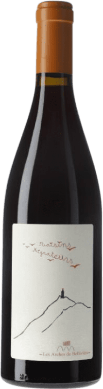 15,95 € Envío gratis | Vino tinto Bellivière Raisins Migrateurs Loire Francia Garnacha Botella 75 cl
