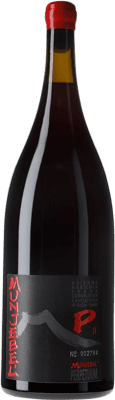 259,95 € 送料無料 | 赤ワイン Frank Cornelissen Munjebel P Cuvée Perpetuum 2 Edition Rosso D.O.C. Sicilia シチリア島 イタリア Nerello Mascalese マグナムボトル 1,5 L