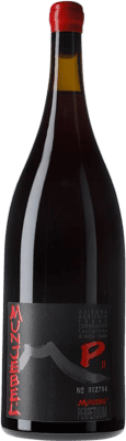 259,95 € Бесплатная доставка | Красное вино Frank Cornelissen Munjebel P Cuvée Perpetuum 2 Edition Rosso D.O.C. Sicilia Сицилия Италия Nerello Mascalese бутылка Магнум 1,5 L