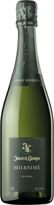 Juvé y Camps Xarel·lo Brut Millésimé Grand Reserve — Long Barrel-Aged 75 cl