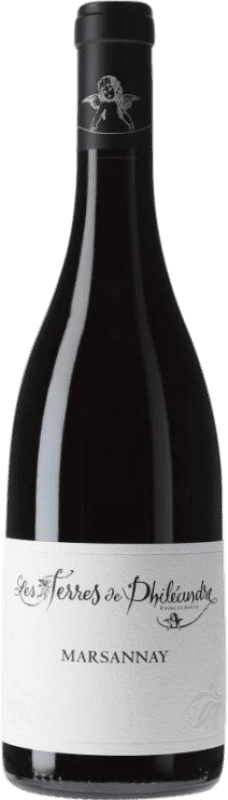 56,95 € Envío gratis | Vino tinto Les Terres de Philéandre Rouge A.O.C. Marsannay Borgoña Francia Pinot Negro Botella 75 cl