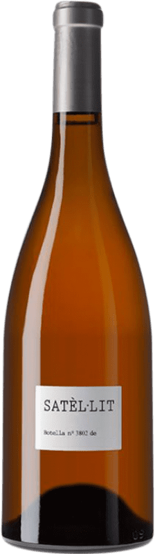 29,95 € Бесплатная доставка | Белое вино Parés Baltà Satèl·lit D.O. Penedès Каталония Испания Carignan White бутылка 75 cl