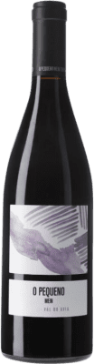 41,95 € 送料無料 | 赤ワイン Viña Meín O Pequeno Meín D.O. Ribeiro ガリシア スペイン Sousón, Caíño Black, Brancellao ボトル 75 cl