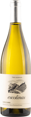 25,95 € 免费送货 | 白酒 Escolinas Blanco D.O.P. Vino de Calidad de Cangas 阿斯图里亚斯公国 西班牙 Albarín 瓶子 75 cl