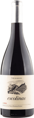 44,95 € Free Shipping | Red wine Escolinas La Zorrina D.O.P. Vino de Calidad de Cangas Principality of Asturias Spain Carrasquín, Albarín Black Bottle 75 cl