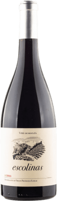 46,95 € Free Shipping | Red wine Escolinas La Zorrina D.O.P. Vino de Calidad de Cangas Principality of Asturias Spain Carrasquín, Albarín Black Bottle 75 cl