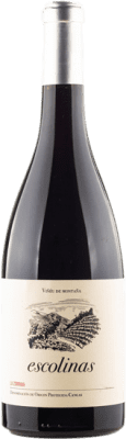 Escolinas La Zorrina 75 cl