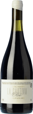 93,95 € Free Shipping | Red wine Michelini i Mufatto La Cautiva Óleo I.G. Mendoza Mendoza Argentina Malbec Bottle 75 cl