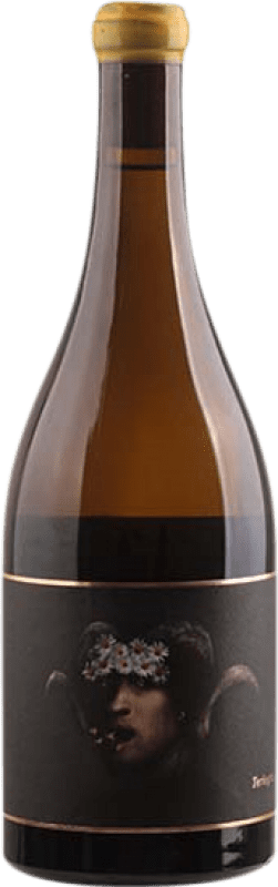 81,95 € Envoi gratuit | Vin blanc Oxer Wines Terlegiz D.O. Bizkaiko Txakolina Pays Basque Espagne Hondarribi Zuri Bouteille 75 cl