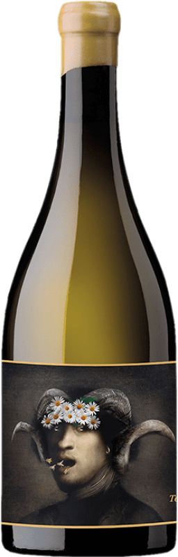 45,95 € Free Shipping | White Wine Oxer Wines Terlegiz D.O. Bizkaiko Txakolina Basque Country Spain Hondarribi Zuri 75 cl