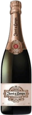 44,95 € Kostenloser Versand | Rosé Sekt Juvé y Camps Milesimé Rosé Canister D.O. Cava Spanien Pinot Schwarz Flasche 75 cl