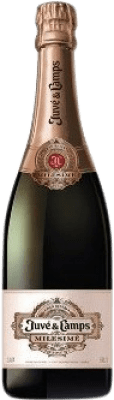 Juvé y Camps Pinot Noir Millésimé, Rosé 75 cl
