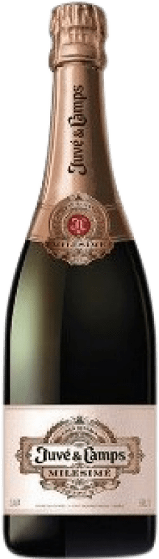 46,95 € Envio grátis | Espumante Rosé Juvé y Camps Millésimé, Rosé D.O. Cava Espanha Pinot Noir Garrafa 75 cl