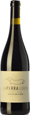 Altos de San Esteban La Perra Gorda Aged 75 cl