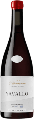 65,95 € 免费送货 | 红酒 Álvar de Dios Yavallo 岁 I.G.P. Vino de la Tierra de Castilla y León 卡斯蒂利亚莱昂 西班牙 Mencía, Carignan, Rufete, Merenzao, Trincadeira 瓶子 75 cl