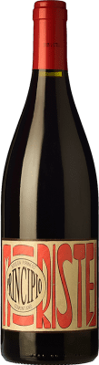 12,95 € Бесплатная доставка | Красное вино Pirineos Principio Молодой D.O. Somontano Арагон Испания Moristel бутылка 75 cl