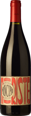 8,95 € Envoi gratuit | Vin Rouge Pirineos Principio Non Filtrato — Non Filtré Jeune D.O. Somontano Aragon Espagne Moristel 75 cl