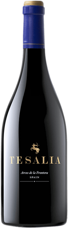 36,95 € Free Shipping | Red wine Tesalia Aged I.G.P. Vino de la Tierra de Cádiz Andalusia Spain Syrah, Cabernet Sauvignon, Petit Verdot, Tintilla de Rota Bottle 75 cl