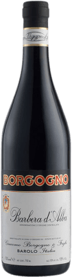 27,95 € Spedizione Gratuita | Vino rosso Virna Borgogno D.O.C. Barbera d'Alba Piemonte Italia Barbera Bottiglia 75 cl