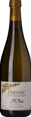 19,95 € Envío gratis | Vino Dulce Carussin Filari Corti D.O.C.G. Moscato d'Asti Piemonte Italia Moscato 75 cl
