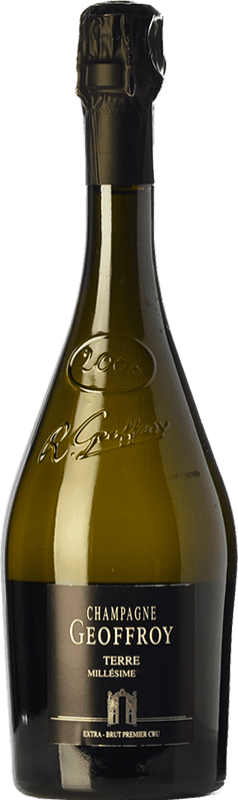 108,95 € Envío gratis | Espumoso blanco Geoffroy Terre Extra Brut A.O.C. Champagne Champagne Francia Pinot Negro, Chardonnay, Pinot Meunier Botella 75 cl
