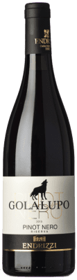 17,95 € Бесплатная доставка | Красное вино Endrizzi Golalupo Резерв D.O.C. Trentino Трентино-Альто-Адидже Италия Pinot Black бутылка 75 cl