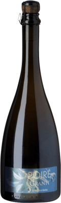 36,95 € Free Shipping | Cider Éric Bordelet Poiré Granit I.G.P. Normandia - Sidra France Bottle 75 cl