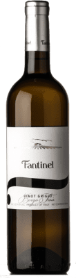 11,95 € Envio grátis | Vinho Branco Fantinel Borgo Tesis D.O.C. Friuli Friuli-Venezia Giulia Itália Pinot Cinzento 75 cl