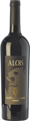 33,95 € Бесплатная доставка | Красное вино Fattoria Alois Casavecchia Trebulanum I.G.T. Terre del Volturno Кампанья Италия бутылка 75 cl