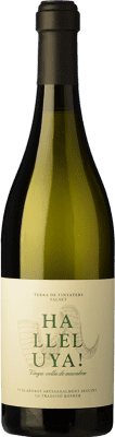 24,95 € Spedizione Gratuita | Vino bianco Finca Fontanals Halleluya Blanc Crianza D.O. Montsant Catalogna Spagna Grenache, Macabeo Bottiglia 75 cl