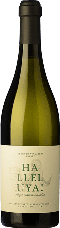 24,95 € Бесплатная доставка | Белое вино Finca Fontanals Halleluya Blanc старения D.O. Montsant Каталония Испания Grenache, Macabeo бутылка 75 cl