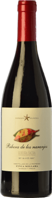 19,95 € Free Shipping | Red wine Míllara Ribera de los Naranjos Oak Spain Tempranillo, Grenache, Mencía Bottle 75 cl