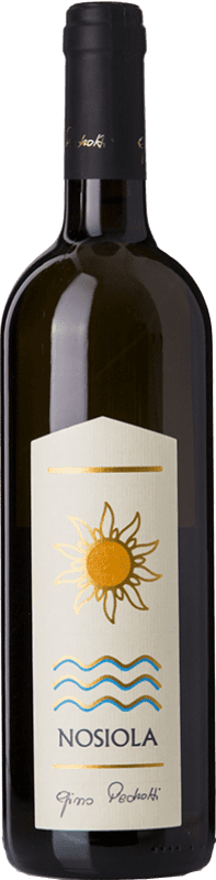 17,95 € Бесплатная доставка | Белое вино Gino Pedrotti D.O.C. Trentino Трентино-Альто-Адидже Италия Nosiola бутылка 75 cl