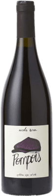 25,95 € Envio grátis | Vinho tinto Nicolas Réau Pompois Rouge A.O.C. Anjou Loire França Cabernet Franc Garrafa 75 cl