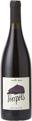 25,95 € Spedizione Gratuita | Vino rosso Nicolas Réau Pompois Rouge A.O.C. Anjou Loire Francia Cabernet Franc Bottiglia 75 cl