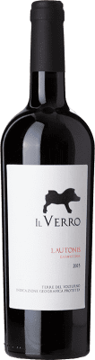 15,95 € Kostenloser Versand | Rotwein Il Verro Casavecchia Lautonis I.G.T. Campania Kampanien Italien 75 cl