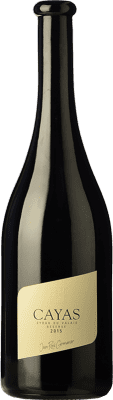 75,95 € Envío gratis | Vino tinto Jean-René Germanier Cayas Crianza Valais Suiza Syrah Botella 75 cl