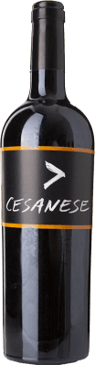 25,95 € Free Shipping | Red wine L'Olivella I.G.T. Lazio Lazio Italy Cesanese Bottle 75 cl