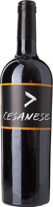 25,95 € Free Shipping | Red wine L'Olivella I.G.T. Lazio Lazio Italy Cesanese Bottle 75 cl