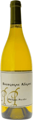 45,95 € 送料無料 | 白ワイン Philippe Pacalet A.O.C. Bourgogne Aligoté ブルゴーニュ フランス Aligoté — アリゴテ Eco — エコ ビオ オーガニック 75 cl