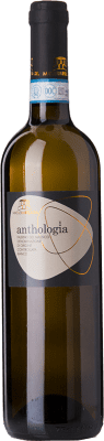 16,95 € Бесплатная доставка | Белое вино Felicia Anthologia D.O.C. Falerno del Massico Кампанья Италия Falanghina бутылка 75 cl