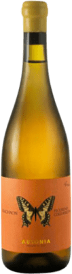 Ausonia Machaon Anfora Pecorino 75 cl