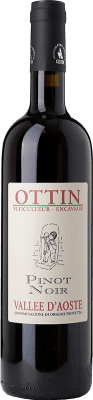 28,95 € Free Shipping | Red wine Ottin D.O.C. Valle d'Aosta Valle d'Aosta Italy Pinot Black Bottle 75 cl