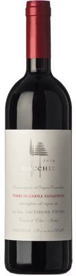 Pietro Caciorgna Macchie Sangiovese 75 cl