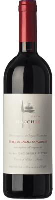 52,95 € Envio grátis | Vinho tinto Pietro Caciorgna Macchie D.O.C. Terre di Casole Tuscany Itália Sangiovese Garrafa 75 cl
