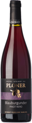 29,95 € Kostenloser Versand | Rotwein Plonerhof D.O.C. Alto Adige Trentino-Südtirol Italien Spätburgunder Flasche 75 cl