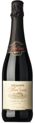 12,95 € Бесплатная доставка | Красное игристое вино Rinaldini Brut — брют Классический I.G.T. Emilia Romagna Эмилия-Романья Италия Lambrusco — Ламбруско 75 cl