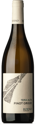 14,95 € Spedizione Gratuita | Vino bianco Roeno Terra Alta D.O.C. Valdadige Terra dei Forti Veneto Italia Pinot Grigio Bottiglia 75 cl